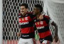 Cruzeiro, Flamengo, Palmeiras: veja os classificados da Libertadores