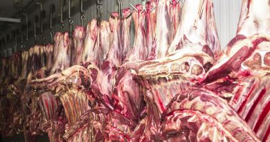 Carne bovina brasileira escapa da tarifa americana de 25% e setor respira aliviado Carne bovina brasileira escapa da tarifa americana de 25% e setor respira aliviado