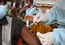 OMS reduz para 116 o número de casos suspeitos de ebola na África central