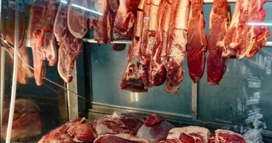Brasil pode se beneficiar de nova cota de Trump para carne bovina, diz ministério Brasil pode se beneficiar de nova cota de Trump para carne bovina, diz ministério